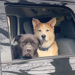 Meet your Posher, Derek